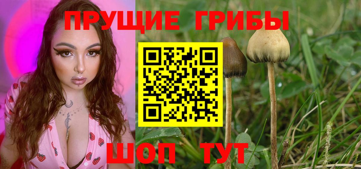 Псилоцибиновые грибы MAGIC MUSHROOMS Гулькевичи